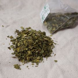 Nanda Life Premium Moringa Leaf Tea 50 Tea Bags 100% Pure Natural Miracle Tree Tea Caffeine-Free Daily Superfood